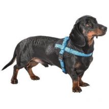 Harnais Easy Safe Bleu Taille : xs