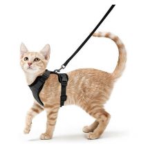 Harnais pour chat laisse pour petit chien harnais pour chaton réglable noir xs