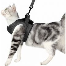 Harnais et Laisse pour Chat Ultra-léger Col Chaton Doux et Confortable Veste de Marche pour Chat Course à Pied, Antifuite Convient pour Chiots