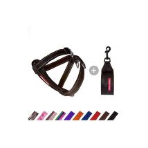 Ezydog harnais chest plate zhsblk