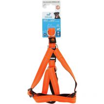 Harnais flash m-l - Fidelami