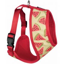 Harnais motif pastèques Coloris Rouge Taille : s