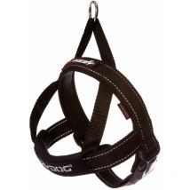 Harnais QuickFit Ezydog noir taille m