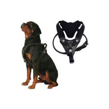 Harnais scorpion pour chiens d’intervention Désignation : Harnais Scorpion Taille : T2 Scorpion 193501
