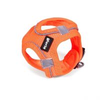 Harnais pour Chien Gloria Air Mesh Trek Star Réglable Orange L (33,4-35 cm)