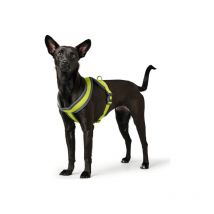 Harnais pour Chien Hunter London Comfort xs-s 39-47 cm Citron