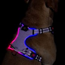 Sunxury - Harnais pour chien lumineux à led : gilet réglable réfléchissant avec harnais pour animaux de compagnie rechargeable et sans étranglement,