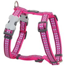 Red Dingo - Harnais pour dog fuchsia reflective bone 37-61 cm