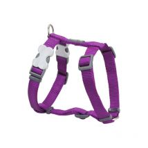Red Dingo - Harnais pour Chien Lisse 37-61 cm Violet