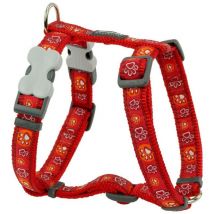 Red Dingo - Harnais pour dog rouge dingo style red footprint de animal 30-48 cm