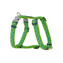 Red Dingo - Harnais pour Chien Style Turquoise Étoile Vert 37-61 cm
