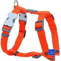 Chadog - Harnais chien réglable Red Dingo Basic orange Taille : T1