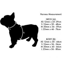 Harnais chien réglable Red Dingo Basic Vert Taille : T2