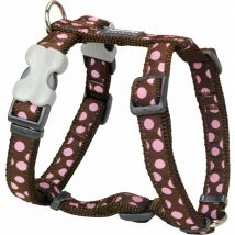 Harnais chien Red Dingo Fantaisie marron à pois roses Taille : T1