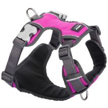 Red Dingo - Harnais pour dognet dingo matelassé fuchsia taille s