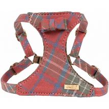 Harnais Scottish Rouge : s