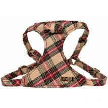Harnais Scottish Beige : m
