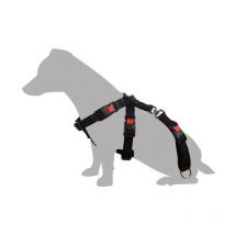 Harnais De Sécurité Voiture S / 35-50 Cm Pour Chien - Flamingo