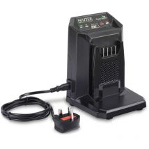 Hayter - 60v Standard Battery Charger 120A