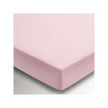 Helena Springfield Plain Dye Fitted Sheet King Size Blush