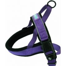 DOG - Hemm & Boo Padded Harness Purple - 14-18 - 380688