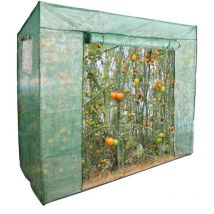 Swanew Foliengewächshaus Gewächshäuser Treibhaus Tomatenhaus Pflanzenhaus Grün 200x80x170CM