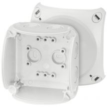Hensel 62000041 Abzweigkasten (l X B X H) 62 X 93 X 93 Mm Lichtgrau (ral 7035) Ip66, Ip67, Ip69 1 St