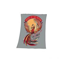 Couverture polaire harry potter, 130 x 170 cm, 100% polyester, polaire 7574409127521 - Herding