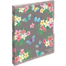 Herlitz - 50044047 carpeta de cartón A4 Multicolor