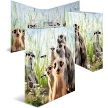 Carpeta A4 con diseño de suricatos, 7 cm de ancho, para niños y niñas - Herma