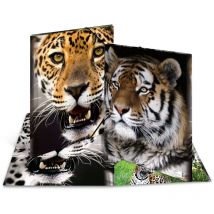 Herma 7142 carpeta Polipropileno (pp) Multicolor A3