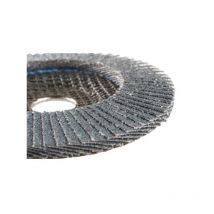 Hermes Abrasifs - Lamellenschleifscheibe Zirkon hermes - Korn 80 - 6042427