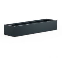 Niedriges Herstera Planter Xic 150 Metall-pflanzgefäß Anthrazit 150x40x25 Cm