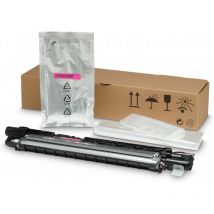Hewlett Packard - hp LaserJet Unité de Développement Magenta Rendement 300.000 Pages pour hp Color LaserJet Managed mfp E77822 E77825 E77830 (Z7Y82A)