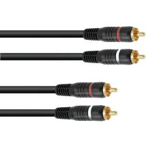 Cavo Audio High-end Cavo Audio 2x2 Cinch Rosso Bianco 3m Cavo Cc-30 30209370