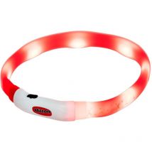 Hundeleine led led - Hilton
