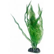 Aponogeton, Plante d'aquarium artificielle pour la décoration - 25 cm - Hobby