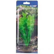 Echinodrus, 20 cm - künstliche Aquariumpflanze - Hobby