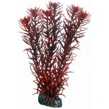 Eusteralis, Plante d'aquarium artificielle pour la décoration - 20 cm - Hobby