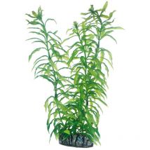 Heteranthera - 25 cm - künstliche Aquariumpflanze - Hobby