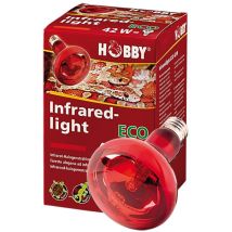 Infrared Light - Lampada A Raggi Infrarossi - Wattaggio Riscaldatori E Lampade Terrario: 40w - Hobby
