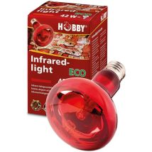 Infrared Light - Lampada A Raggi Infrarossi - Wattaggio Riscaldatori E Lampade Terrario: 100w - Hobby