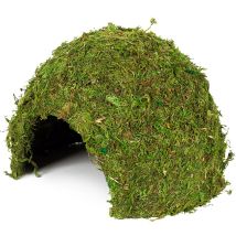 Jungle Cave - Höhle Für Terrarien - Gr. 3 - Hobby