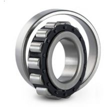 HOFFMANN Cylindrical Roller Bearing - XLRJ-3M/HOFF