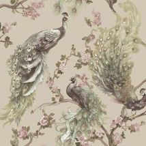 Holden Menali Peacock Beige Wallpaper Flowers Animal Elegant Paste The Paper