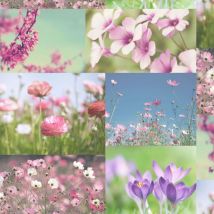 Holden - Decor April Wallpaper Floral Flower Photographic Collage Heather Pink