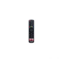EDM - holmios Télécommande universelle pour Hisense Smart tv (2xLR03/AAA non inclus) couleur noire