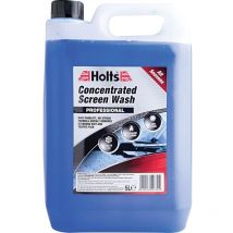 HSCW1101A Concentrate Screen Wash 5L - Holts