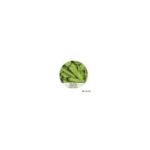 Deco - Holzflakes 10-50mm Apple Green