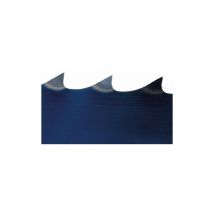Holzkraft - 5160041 lame de scie rec. hbs 361-2 10x0,5x2560 6ZZ